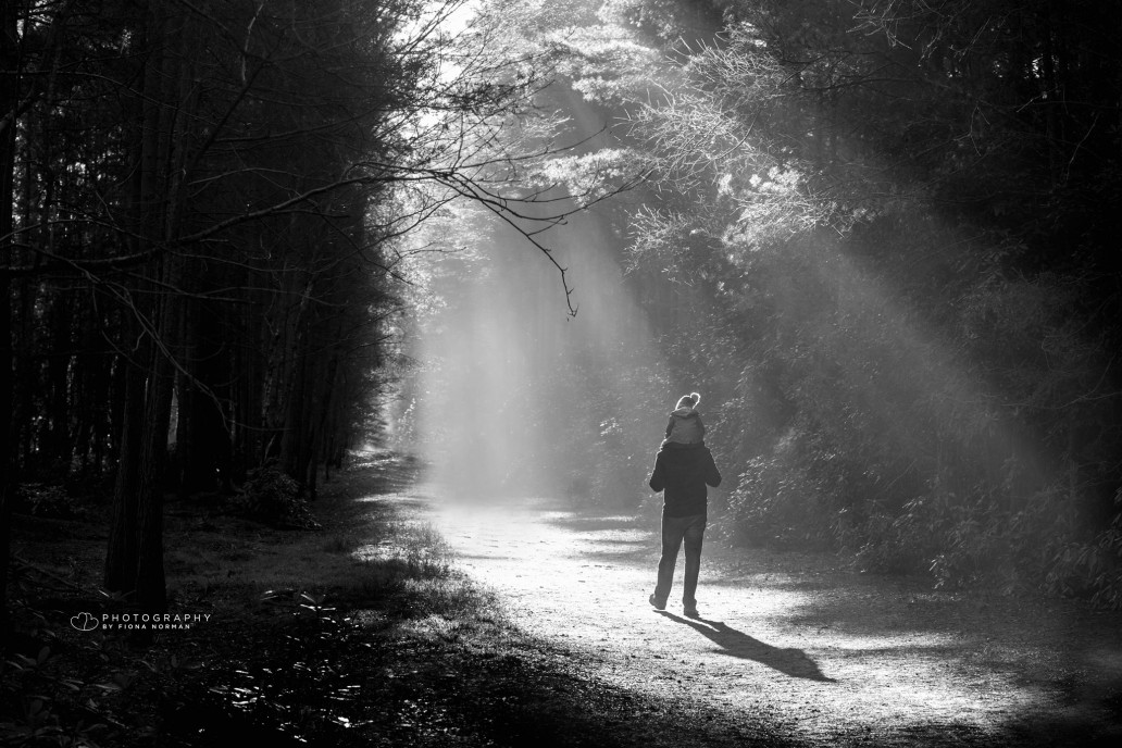 Dad and son walking in the forrest